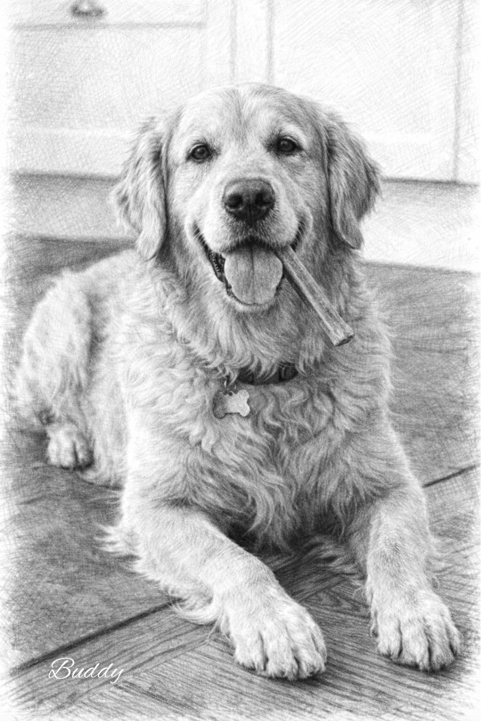 A panoramic black and white sketch of a german shepherd looking out a window.