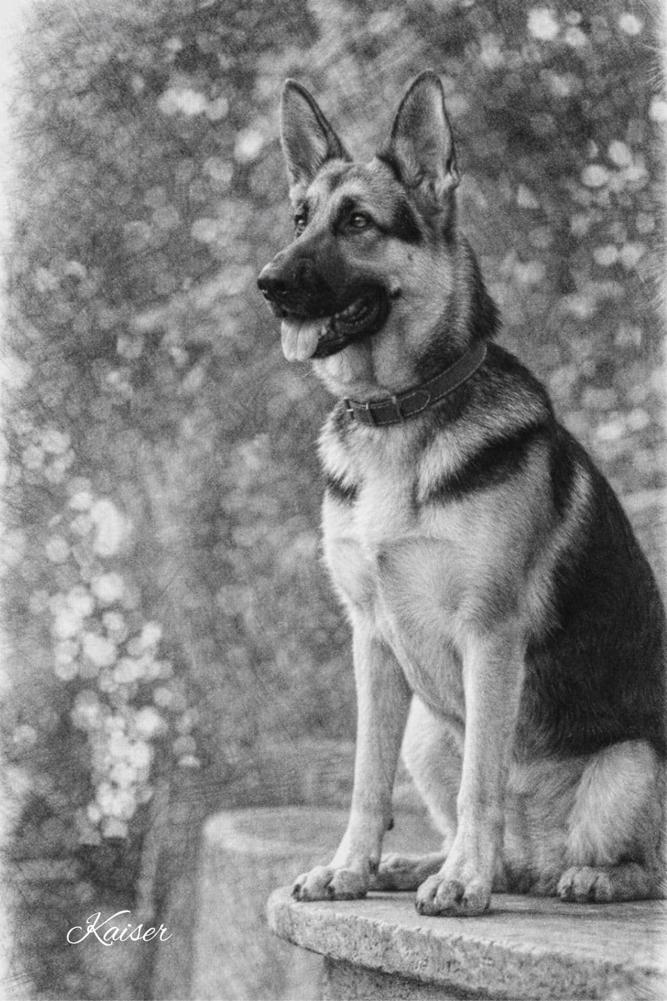 A cute black and white sketch of a small puppy sleeping.